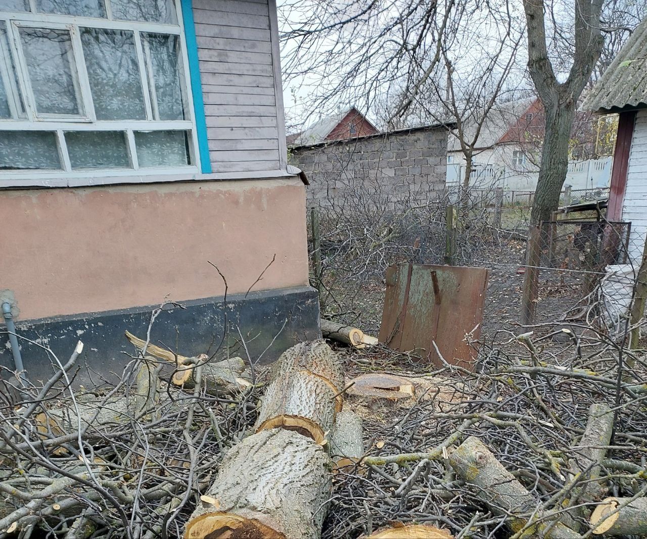 Обрізання дерев, зрізання дерев.