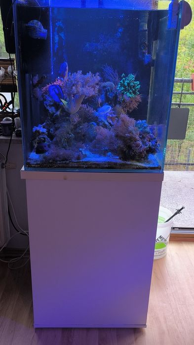 Akwarium morskie kostka 60x60x65 optiwhite z szafką.