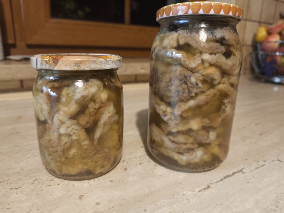 kanie marynowane w słoikach