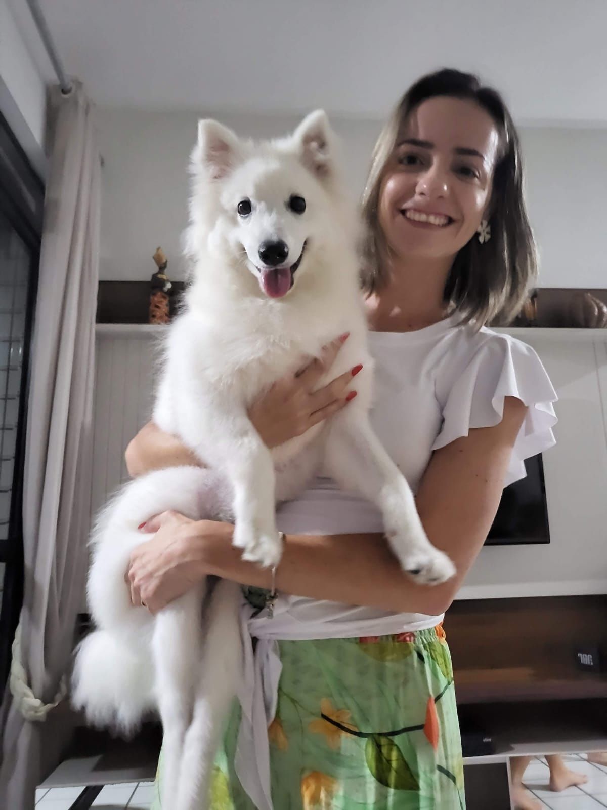 Pet sitting e te ajudo com seu animalzinho