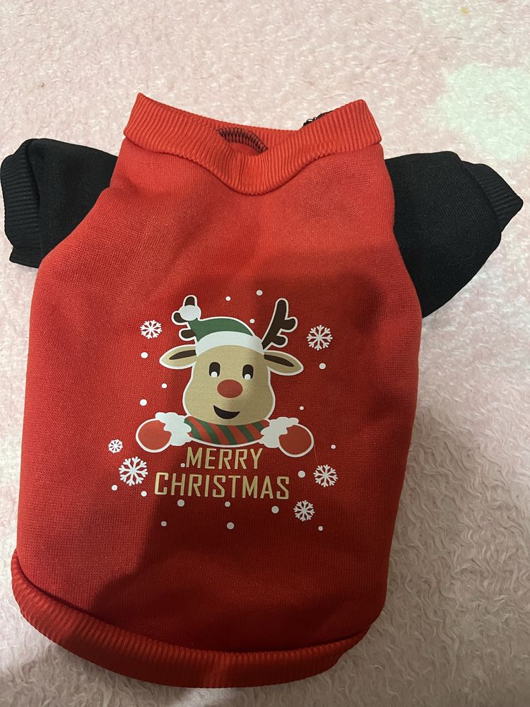Roupa de cão sem uso
