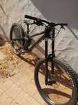 Scott gambler 930