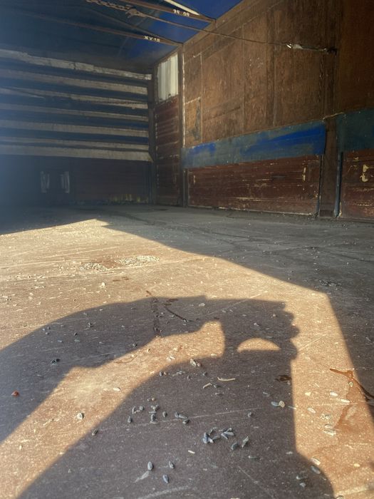 Продам полуприцеп бортовой зерновоз на подушках