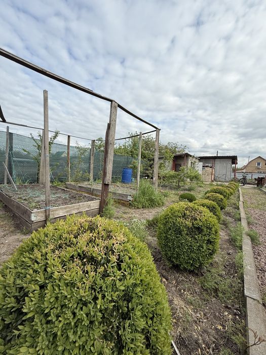 Дача у Раківці з косметичним ремонтом на 6 сотках. Раківка