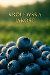 Borówka amerykańska. Promocja!!! Z własnej plantacji!!!