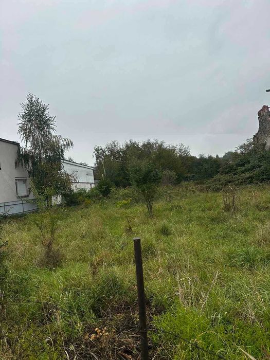 Продається старий замок у Солотвино