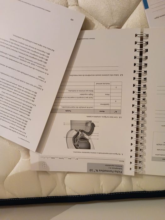 Dossier professor: Exploratório, cientic, À descoberta da vida, Terra