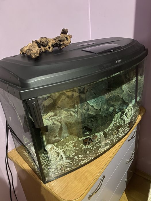 Akwarium 80L za darmo rezerwacja do 20:30