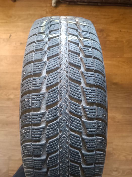 Шины Federal Hamalya WS2