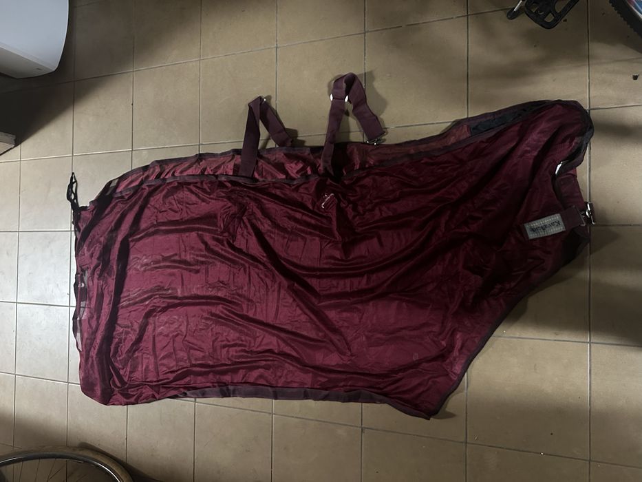 Derka siatkowa Kavalkade