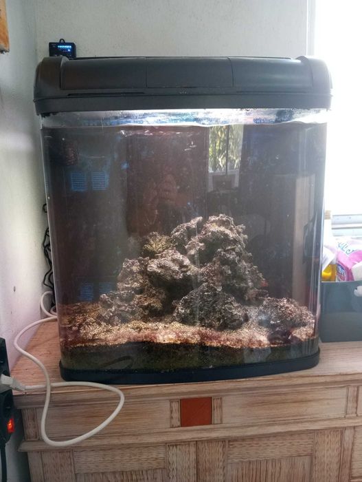 aquários de água doce e salgada de diferentes tamanhos