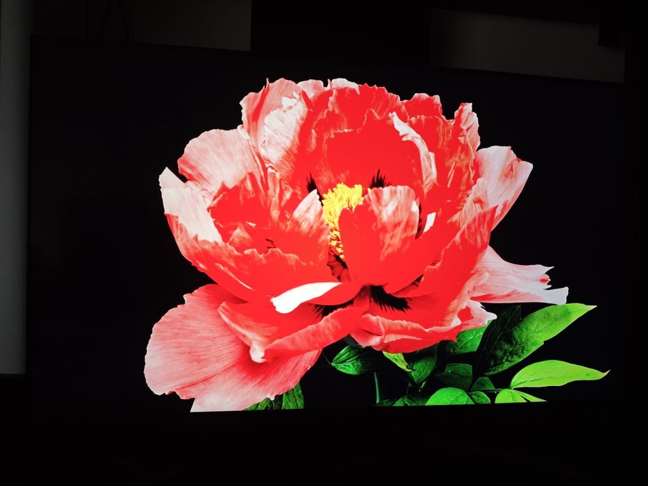LG NanoCell 4K 55''