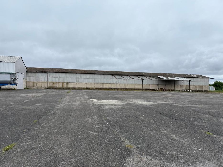 Здам в оренду ангар з асфальтовою площадкою та підсобними приміщенями