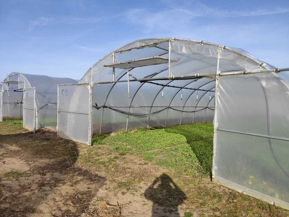 Ocynkowana konstrukcja tunelu foliowego 7,5x30x3m używana