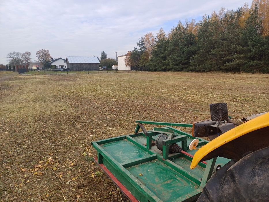 Wycinka drzew Alpinistycznie Profesjonalnie