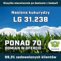 Kukurydza LG 31.238, F1, opak. 50 tys.n. | dlaroslin.pl