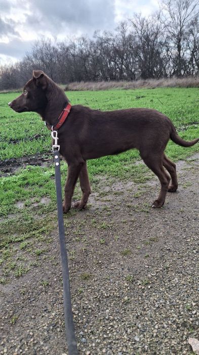 Дуня  шукає родину