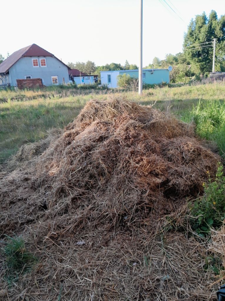 Oddam darmo siano i słomę.