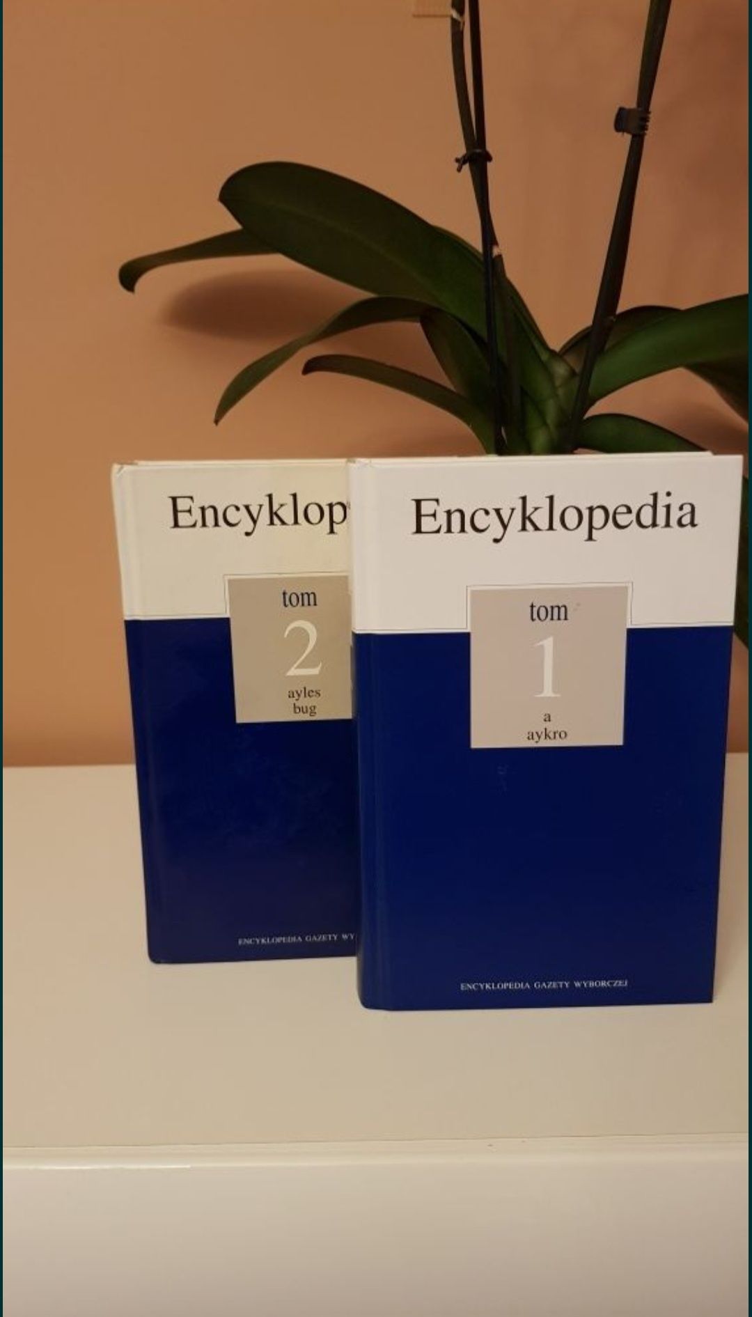 Encyklopedia Gazety Wyborczej Tom I i II