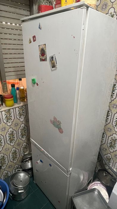 Frigorifico em condições