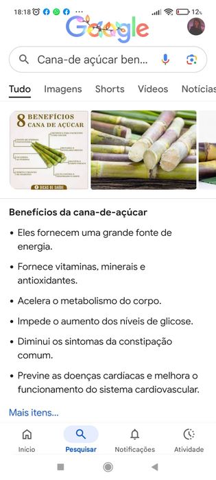 Cana de açúcar em saco