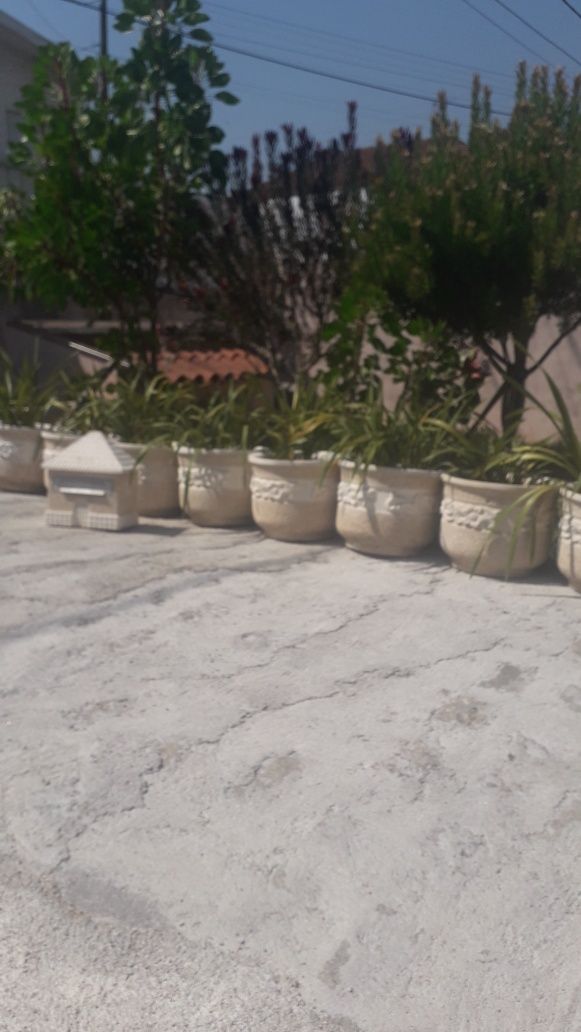 Vasos de pedra novos