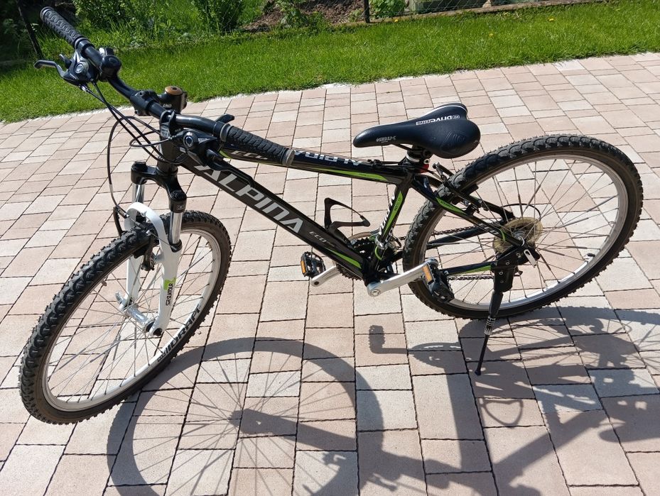 Rower ALPINA 26 ECO m20
