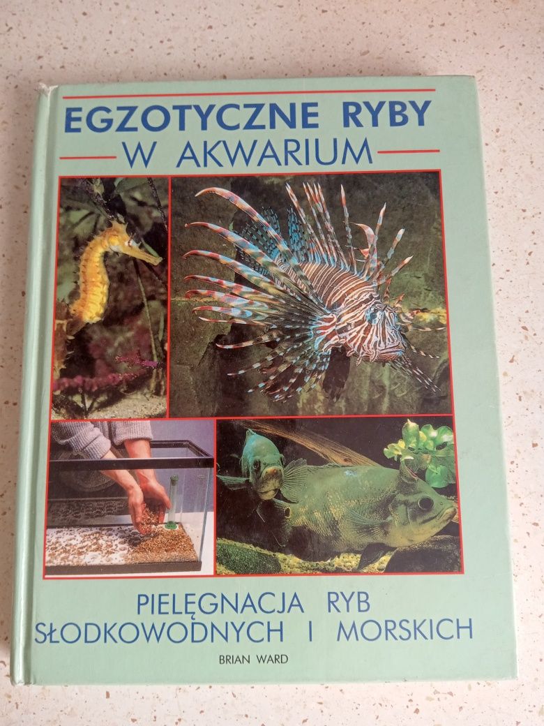 Egzotyczne ryby w akwarium książka ilustrowana