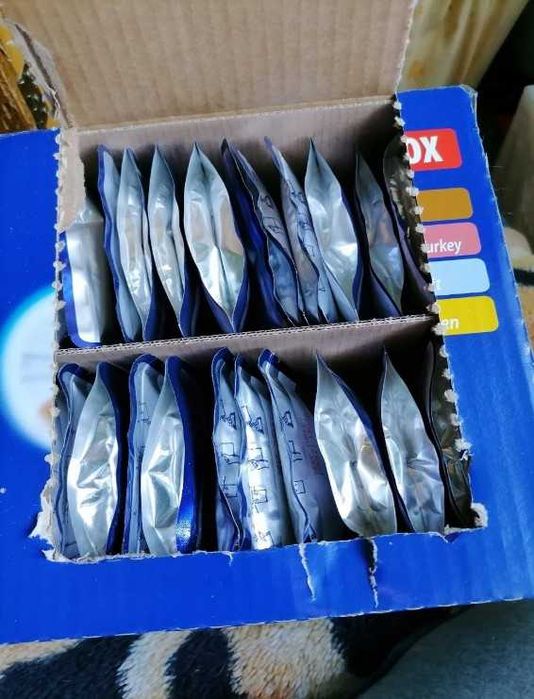 Mokra Karma dla Kota Mega Box Mix Smaków 24X100G Saszetki dla Kota