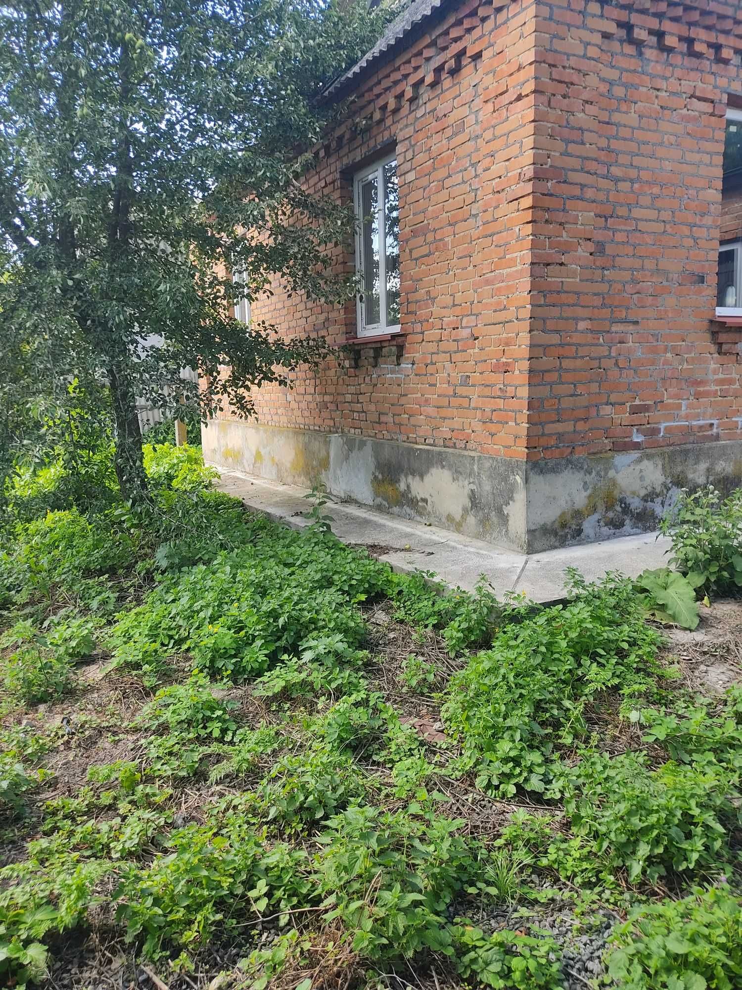 Хата в селі Пирогівці, супер ціна
