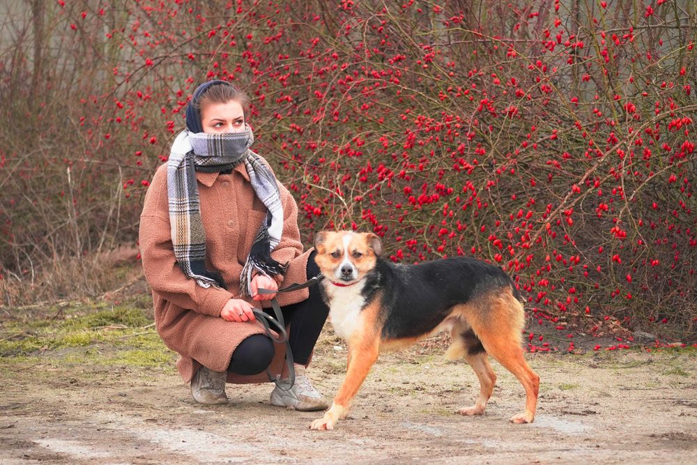 Salud jego urok i wdzięk mówi sam za siebie