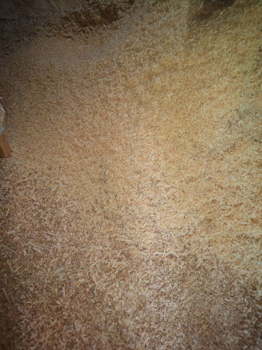 Продам опилки мешками 40 грн