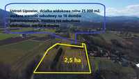 Lipowiec 2,5 ha góry siedlisko rolna stadnina widokowa WZ na 16 domów