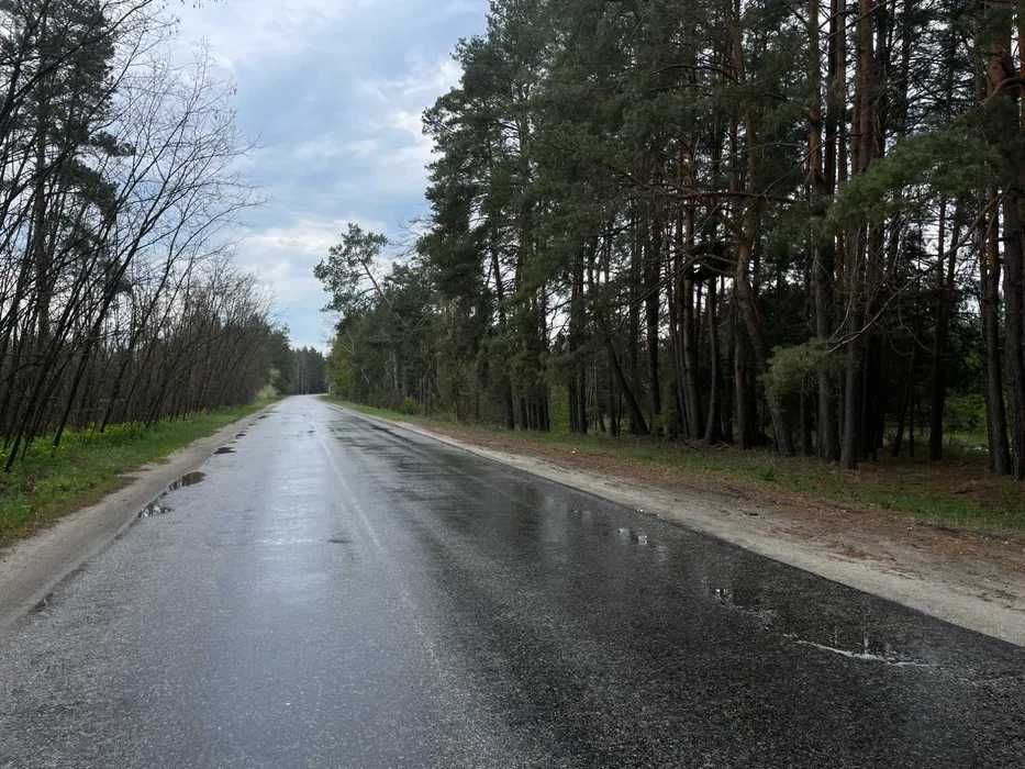 Інвестиція!Земля в Соснівці заліснена! Недалеко від Києва 30$ за сотку