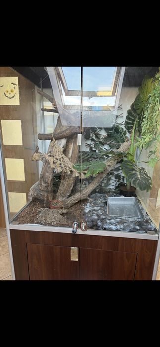 Duże terrarium 80/100/180 dla Węża Legwana itp ki