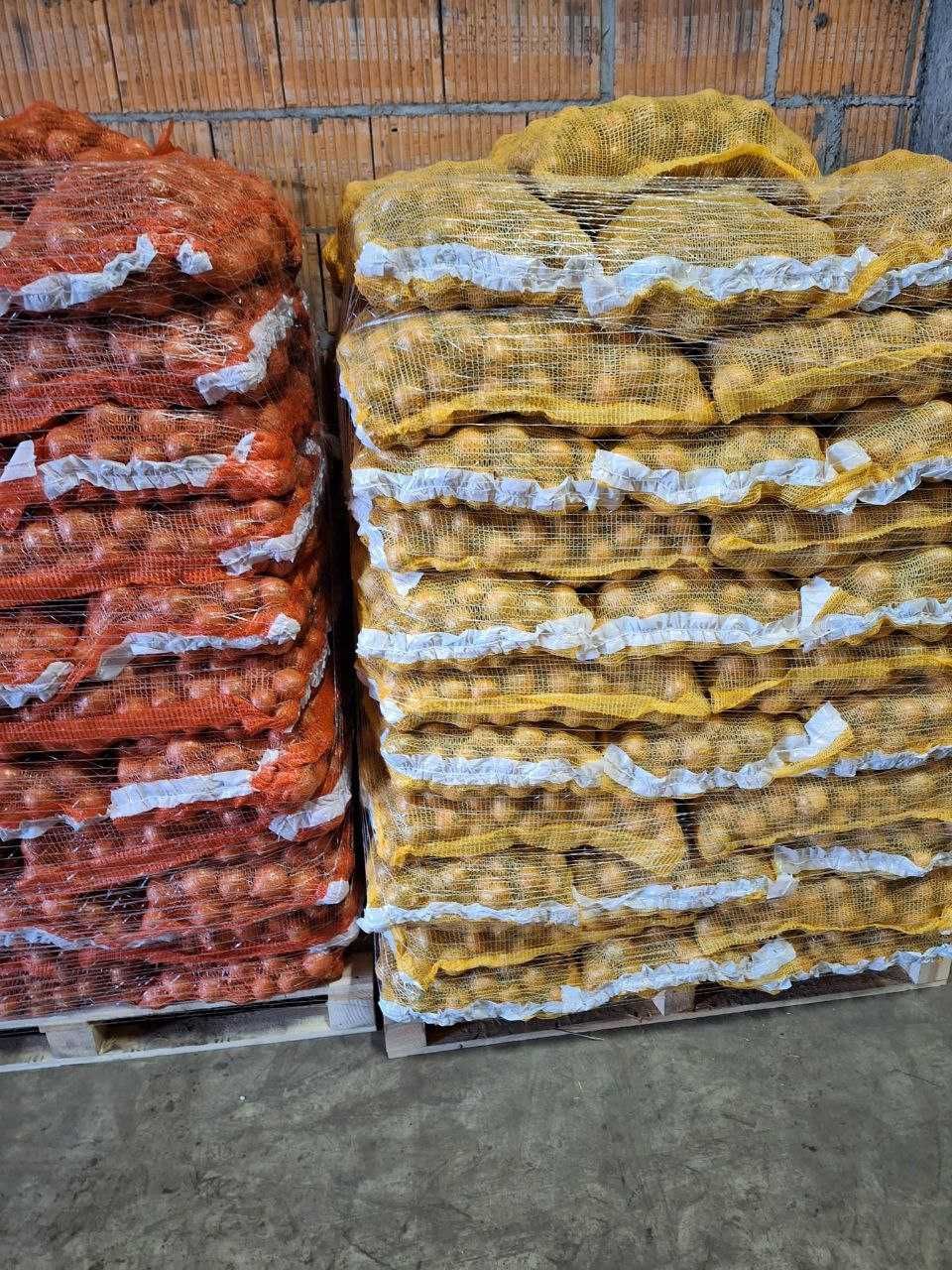 Продам цибулю з Польщі 1,20 grosz/кг (Wielkopolskie województwo)