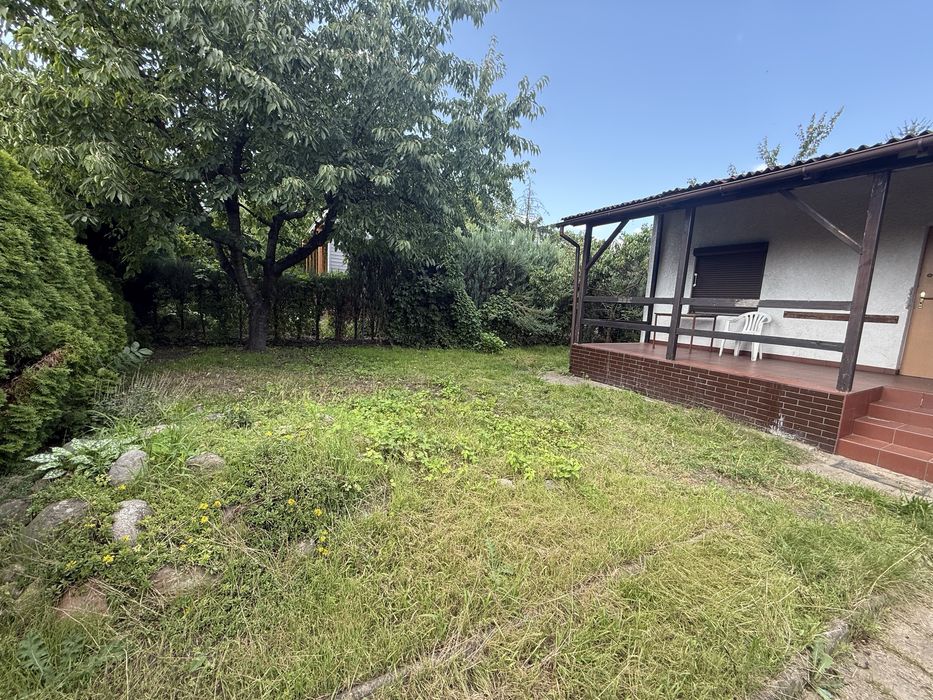 Dzialka ROD im. M. Palacza w Poznaniu