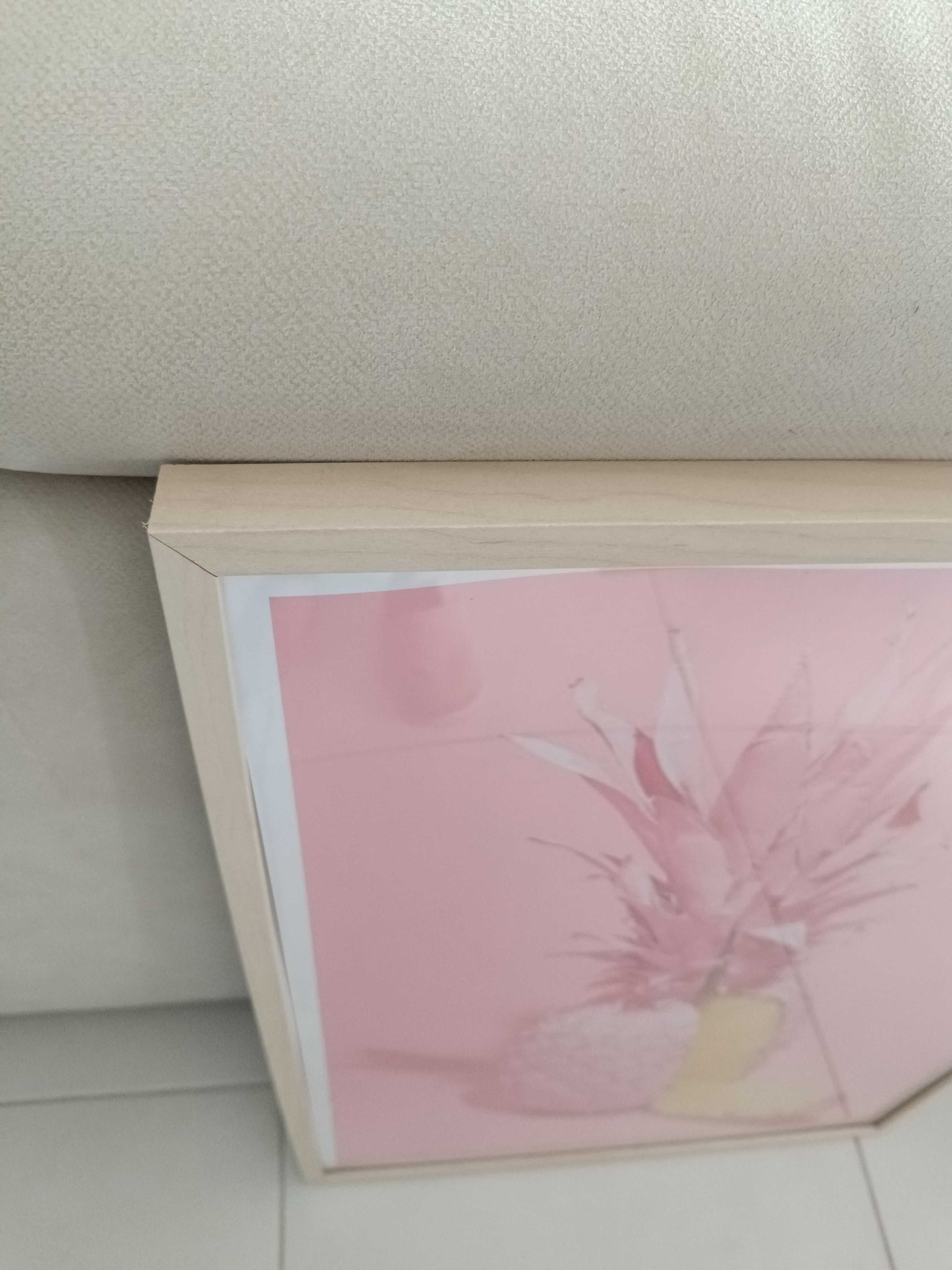 Moldura 50x70 com impressão de ananás