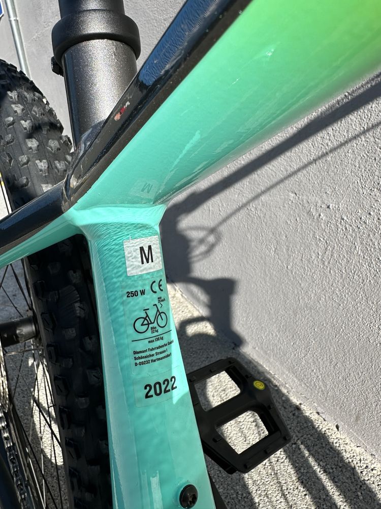 eBike Trek Powerfly 5 M CH-GN