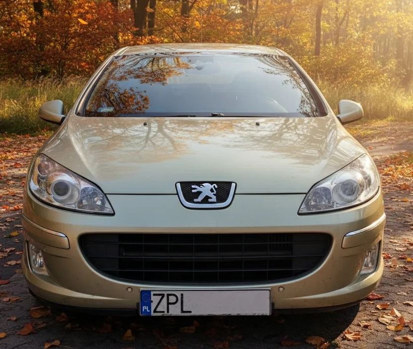 Peugeot 407 Peugeot 407 komfortowy, bardzo zadbany, żadnych usterek, 243 tys. km