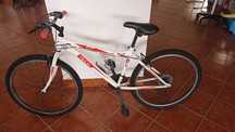 Bicicleta adulto