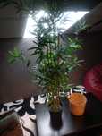 2 Plantas artificiais IKEA FEJKA NOVAS com vazos novos IKEA