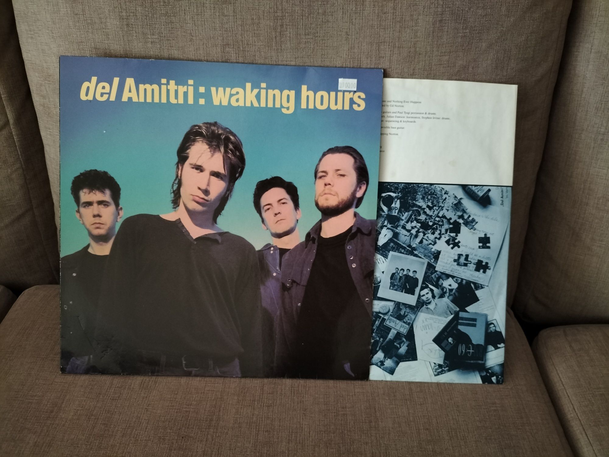 Del Amitri - Waking Hours (LP/Vinil)