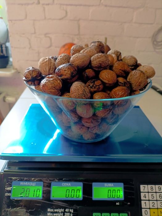 Orzechy włoskie 2 kg październik 2025