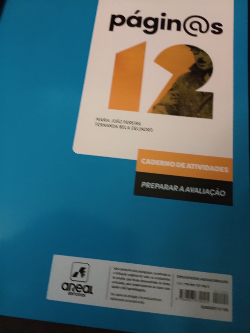 Páginas 12+ caderno de atividades+ fichas de trabalho ,+ fichas de aul