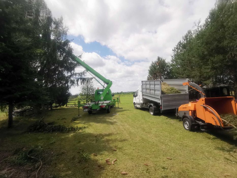 Wycinka i przycinka drzew, krzewów + rozdrabnianie gałęzi