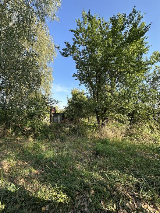 Продаю земельну ділянку в Новоукраїнці, масив «Нетканщик»