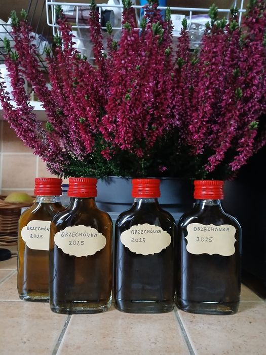 Wyciąg z orzechów włoskich zielonych