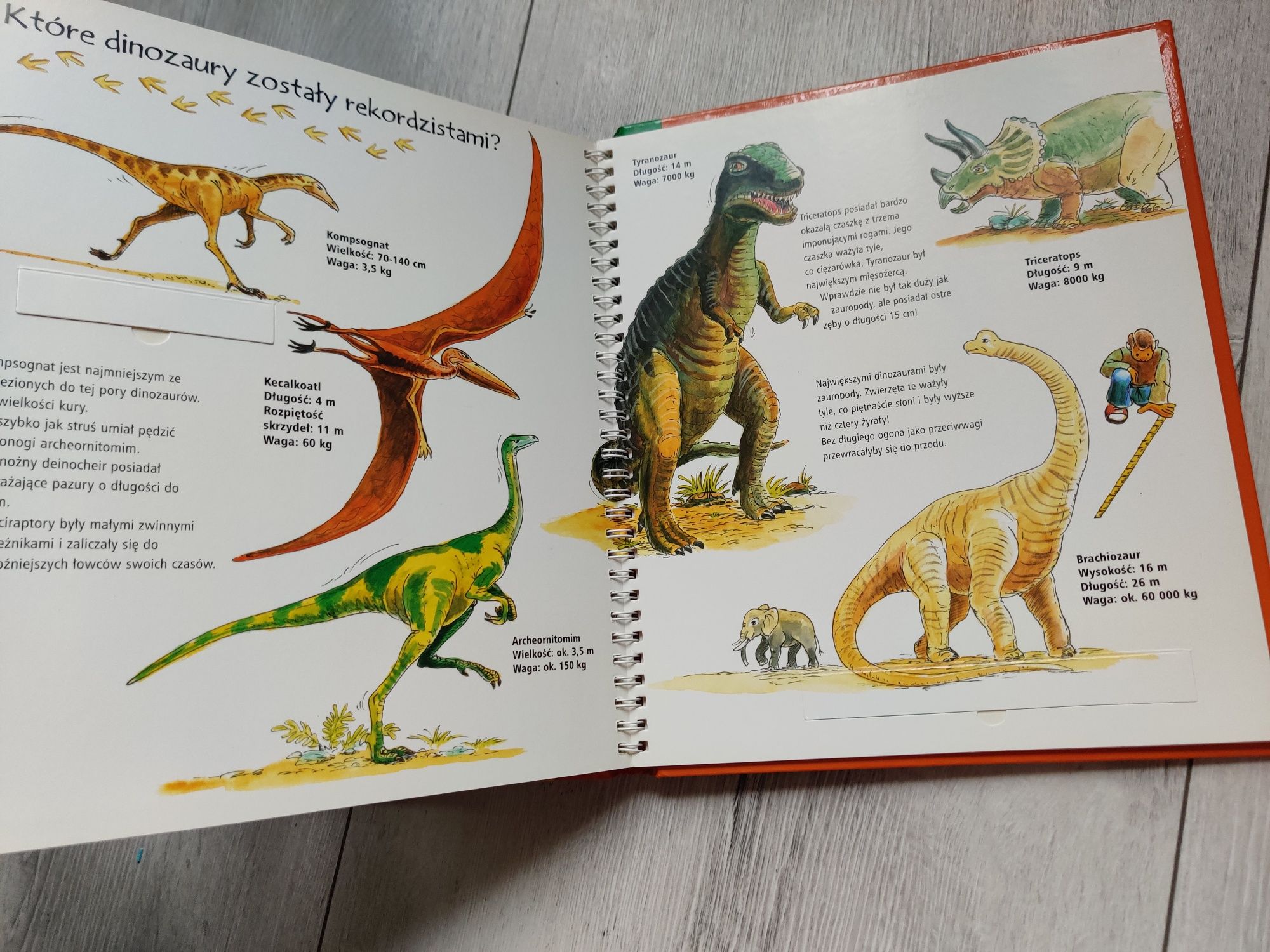 Dinozaury mało słów dużo wiedzy, książka z okienkami