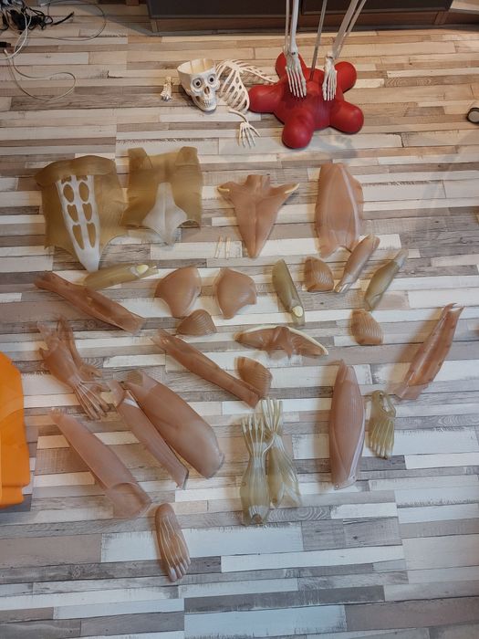 Kostek kosciotrup szkielet człowieka z gazetek